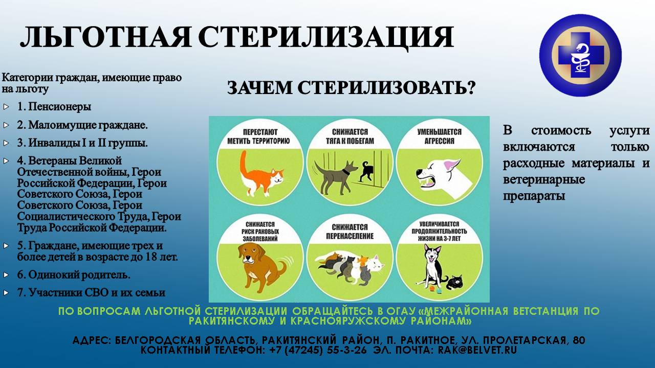 ОСВВ (Отлов - Стерилизация - Вакцинация - Возврат) это эффективный метод снижения численности безнадзорных животных.