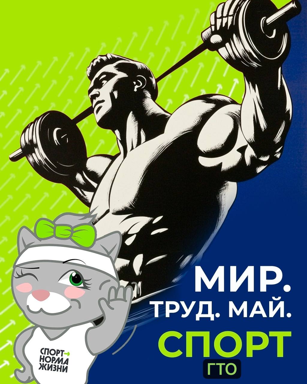 Центр тестирования ГТО.